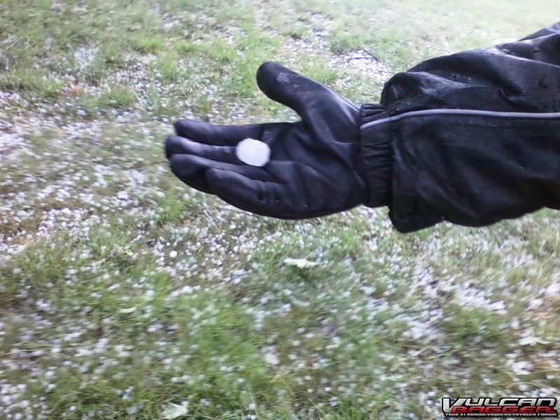 Gibby shows the size of the hail.  It hurt!