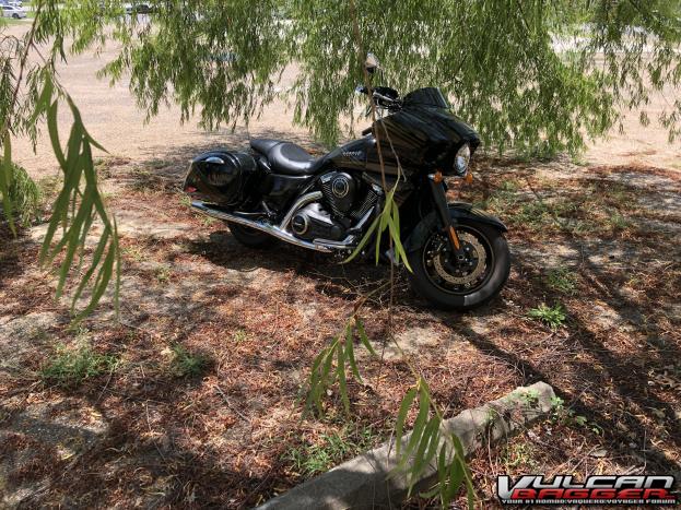 Cooling off in the shade on a hot ride